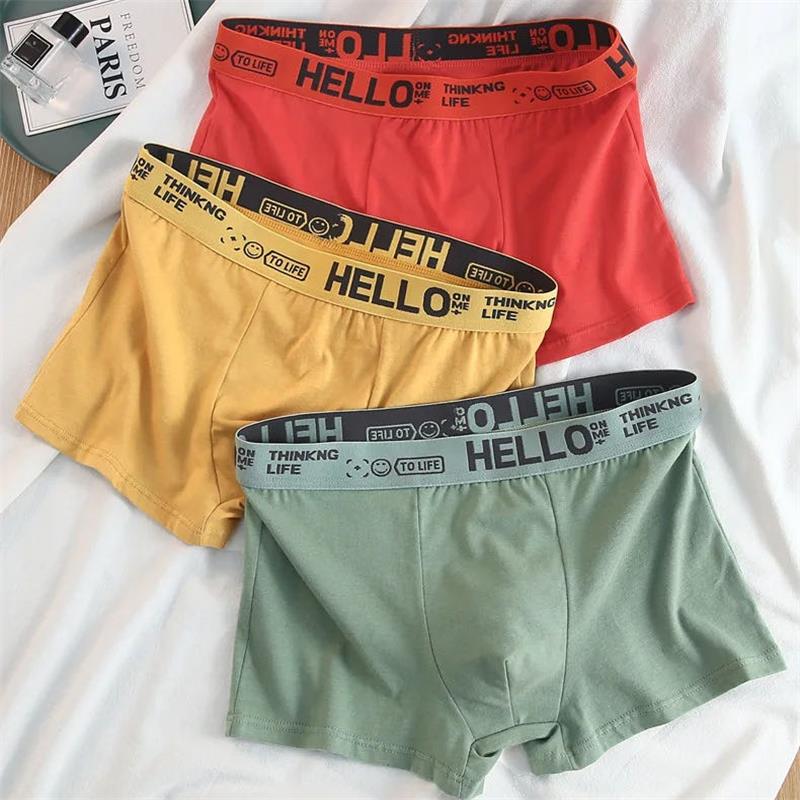 10Pieces/ Men's Underwear Men  - مراجعة Boxer Shorts Modal وسعره