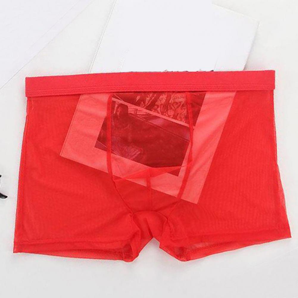 Transparent Boxers for Men See - مراجعة Boxer Shorts Modal وسعره