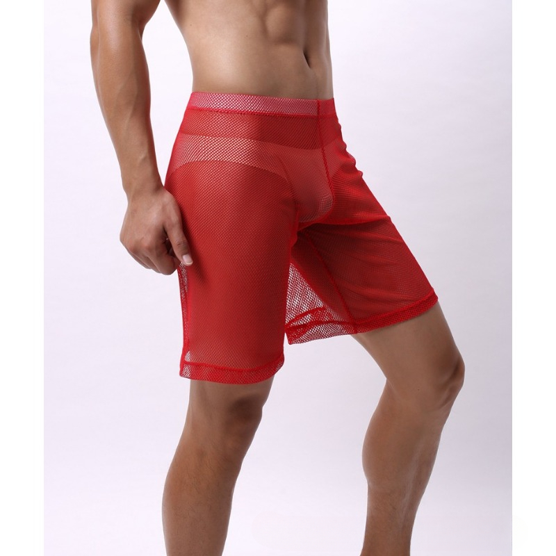 Low Rise Mesh Erotic Underwear - مراجعة Trunk Breathable Men وسعره
