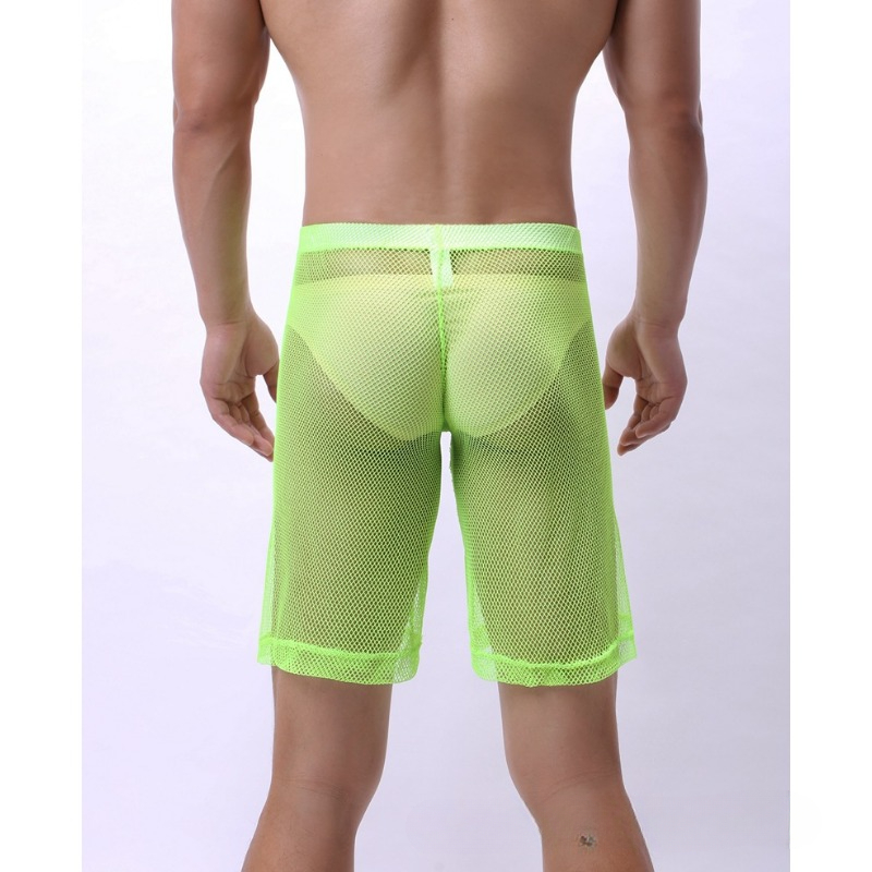 Low Rise Mesh Erotic Underwear - مراجعة Trunk Breathable Men وسعره