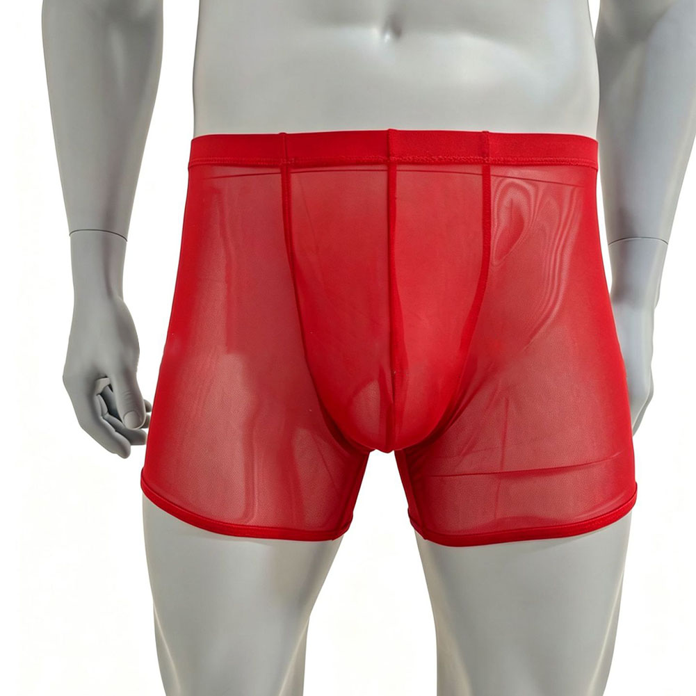 Men Mesh See-through Ultra-thi - مراجعة Long Leg Trunk Men وسعره