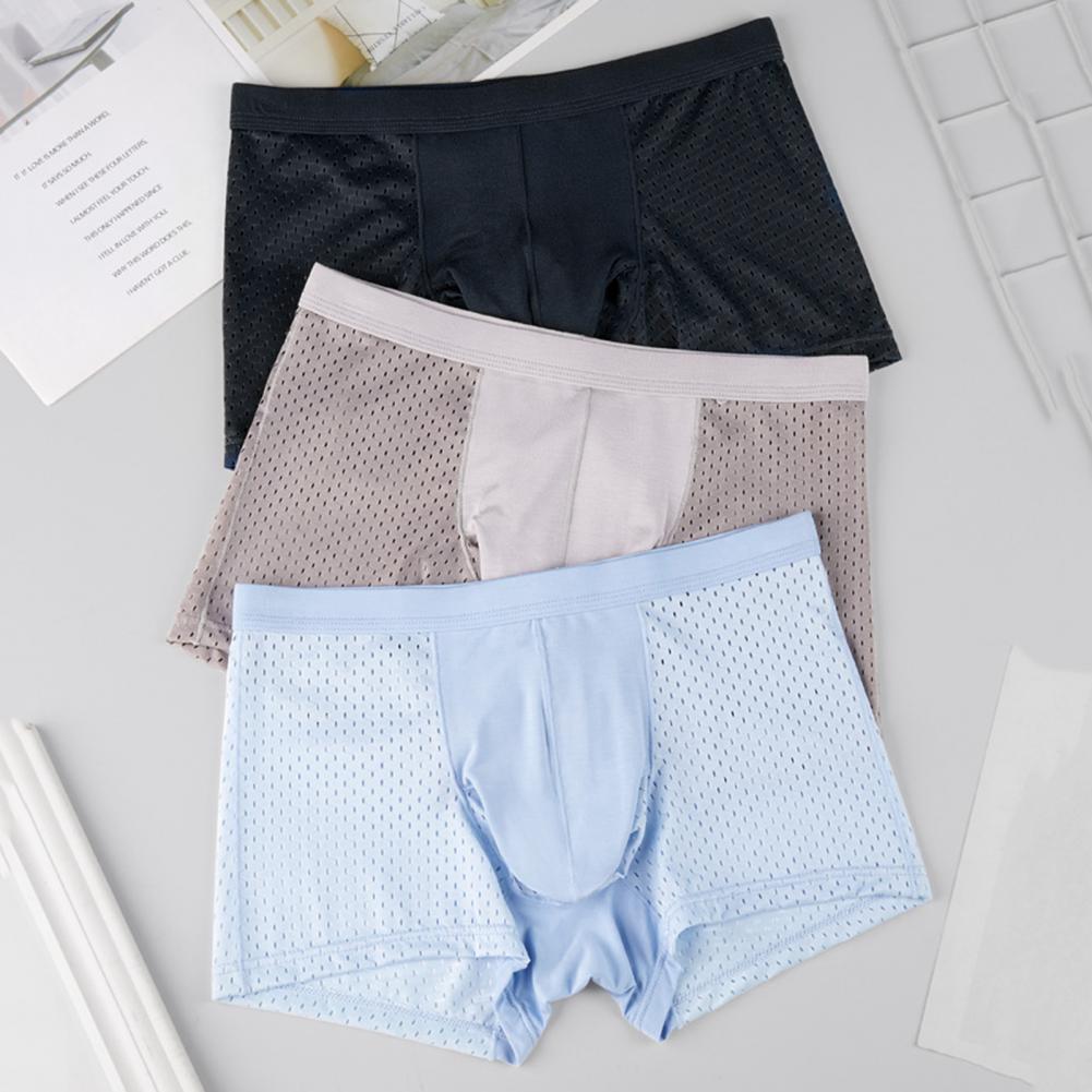 2025 M-3XL Men Boxers Elephant - مراجعة Mesh Sport Boxer وسعره